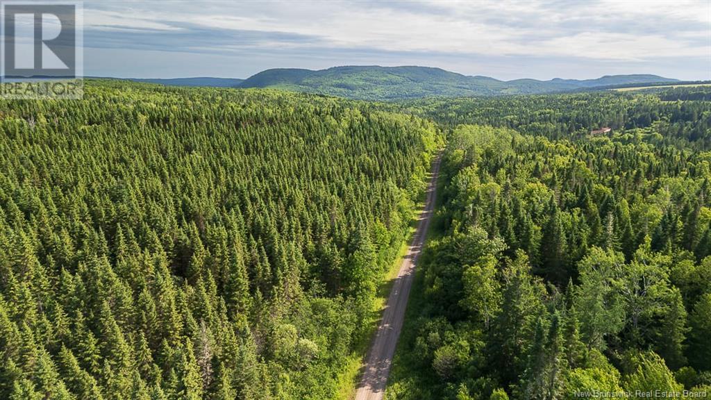 Na Back Settlement Road, Upperton, New Brunswick  E4E 3Z3 - Photo 6 - NB110780