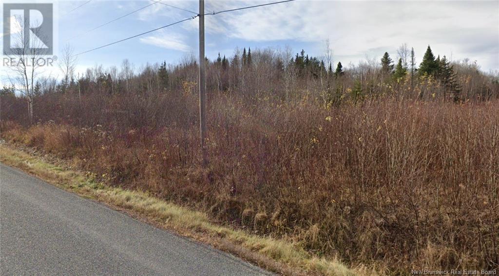 0 Rang 5, Saint-Basile, New Brunswick  E7C 2B2 - Photo 2 - NB110887