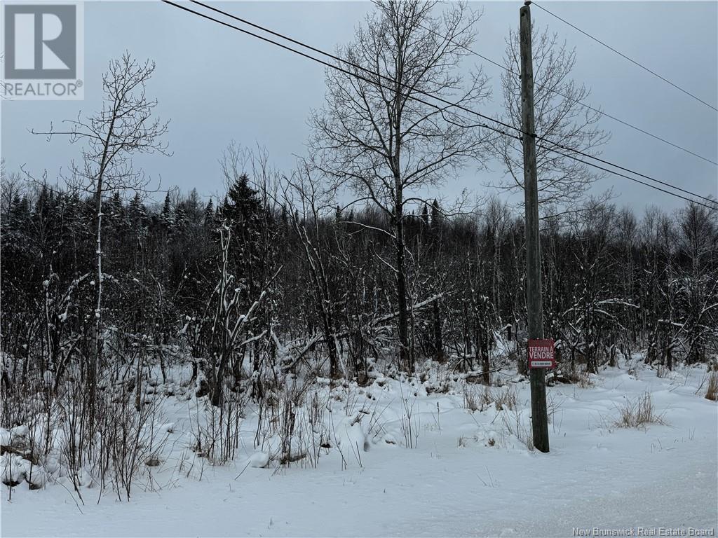 0 Rang 5, Saint-Basile, New Brunswick  E7C 2B2 - Photo 3 - NB110887