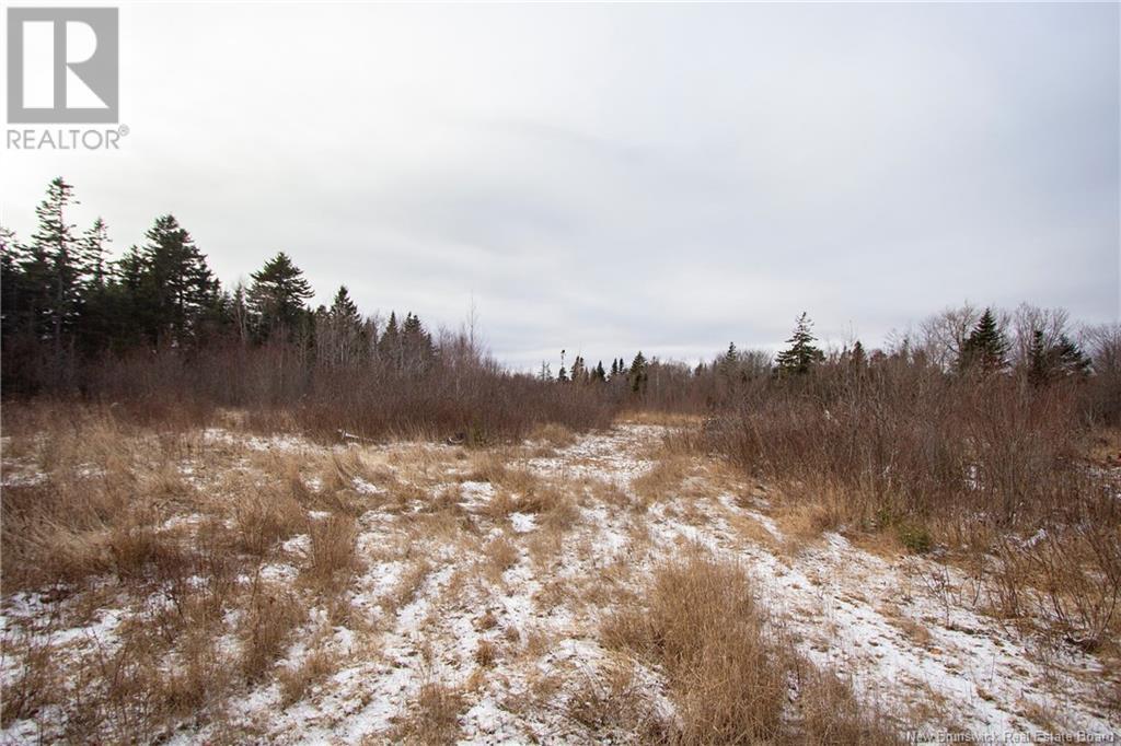 5745 Route 106, Frosty Hollow, New Brunswick  E4L 2E1 - Photo 9 - NB110899