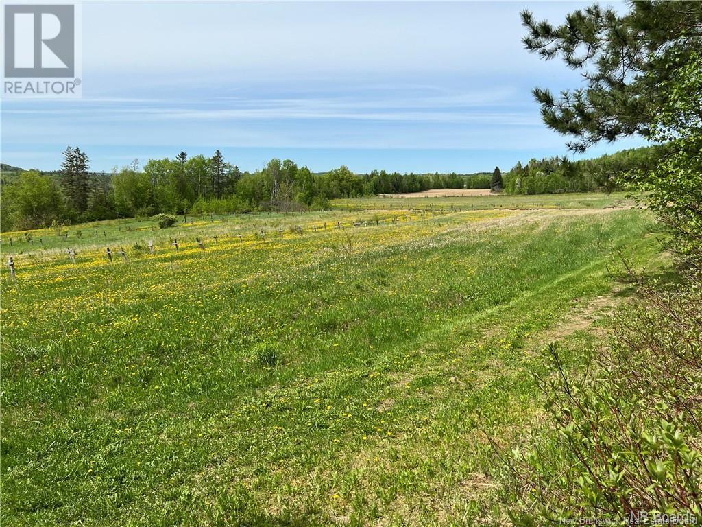 16076 Route 105, Dsl De Drummond/dsl Of Drummond, New Brunswick  E3Y 2H9 - Photo 5 - NB110955