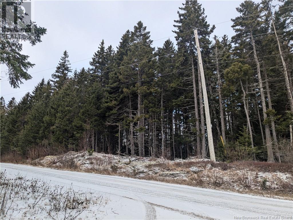 Lot Lighthouse Road, Campobello Island, New Brunswick  E5E 1C1 - Photo 3 - NB111001