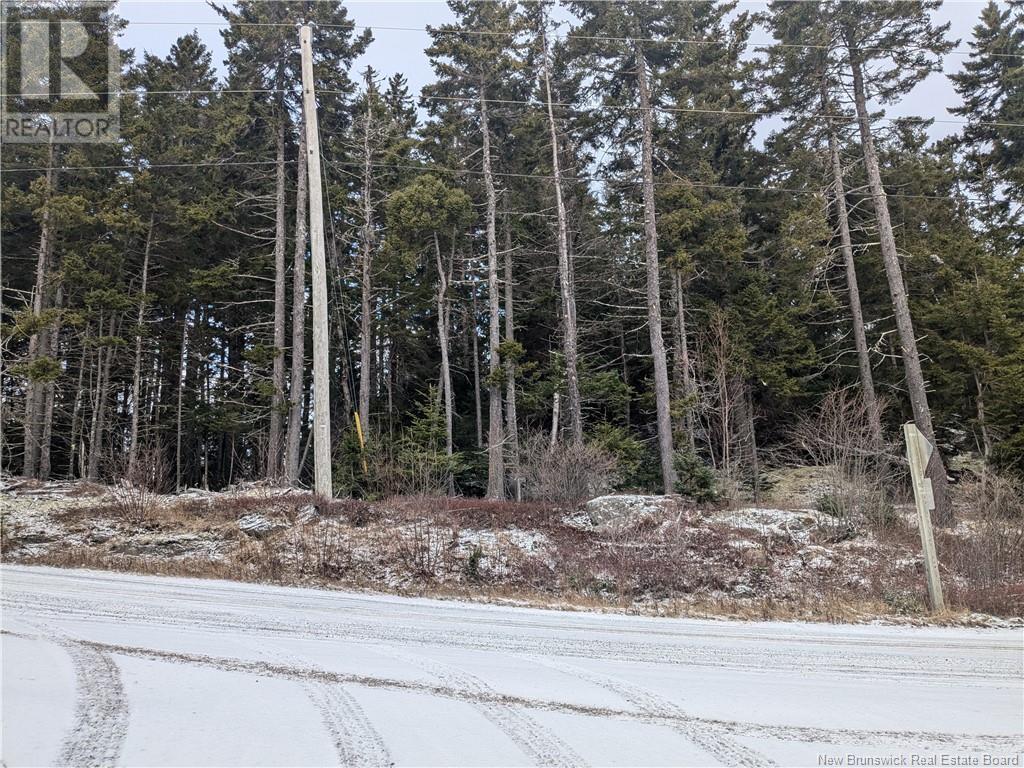 Lot Lighthouse Road, Campobello Island, New Brunswick  E5E 1C1 - Photo 5 - NB111001