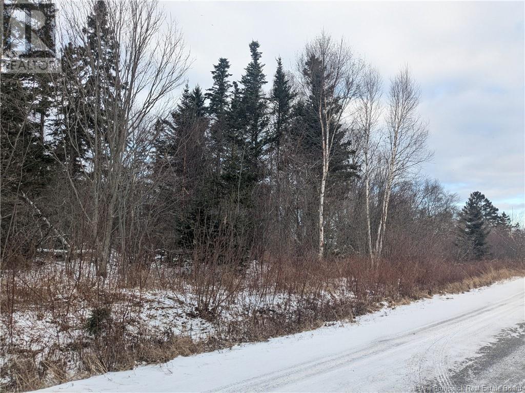 Lot 2 Lighthouse Road, Campobello Island, New Brunswick  E5E 2C1 - Photo 3 - NB111004