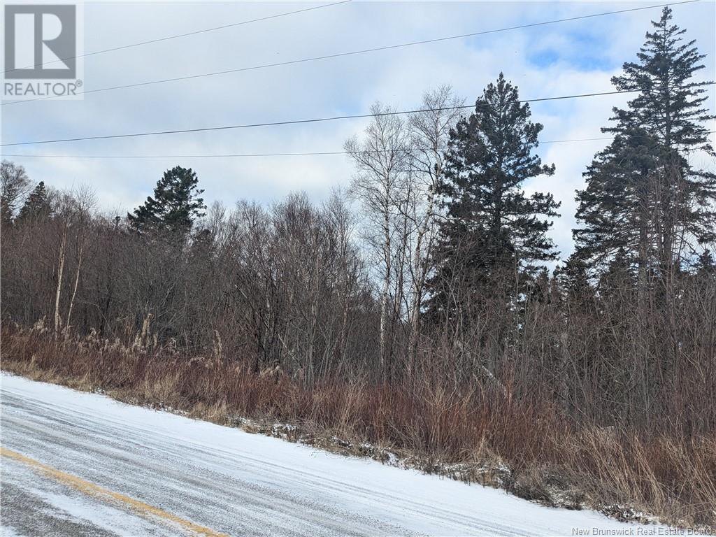 Lot 4 Lighthouse Road, Campobello Island, New Brunswick  E5E 1C1 - Photo 2 - NB111006