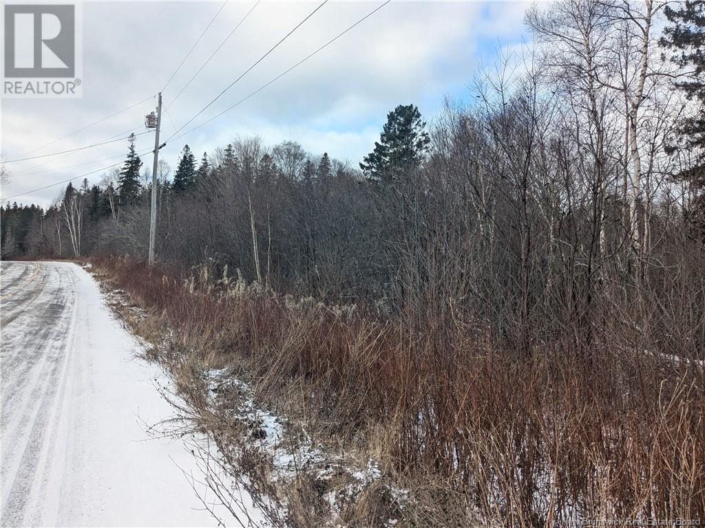 Lot 4 Lighthouse Road, Campobello Island, New Brunswick  E5E 1C1 - Photo 3 - NB111006