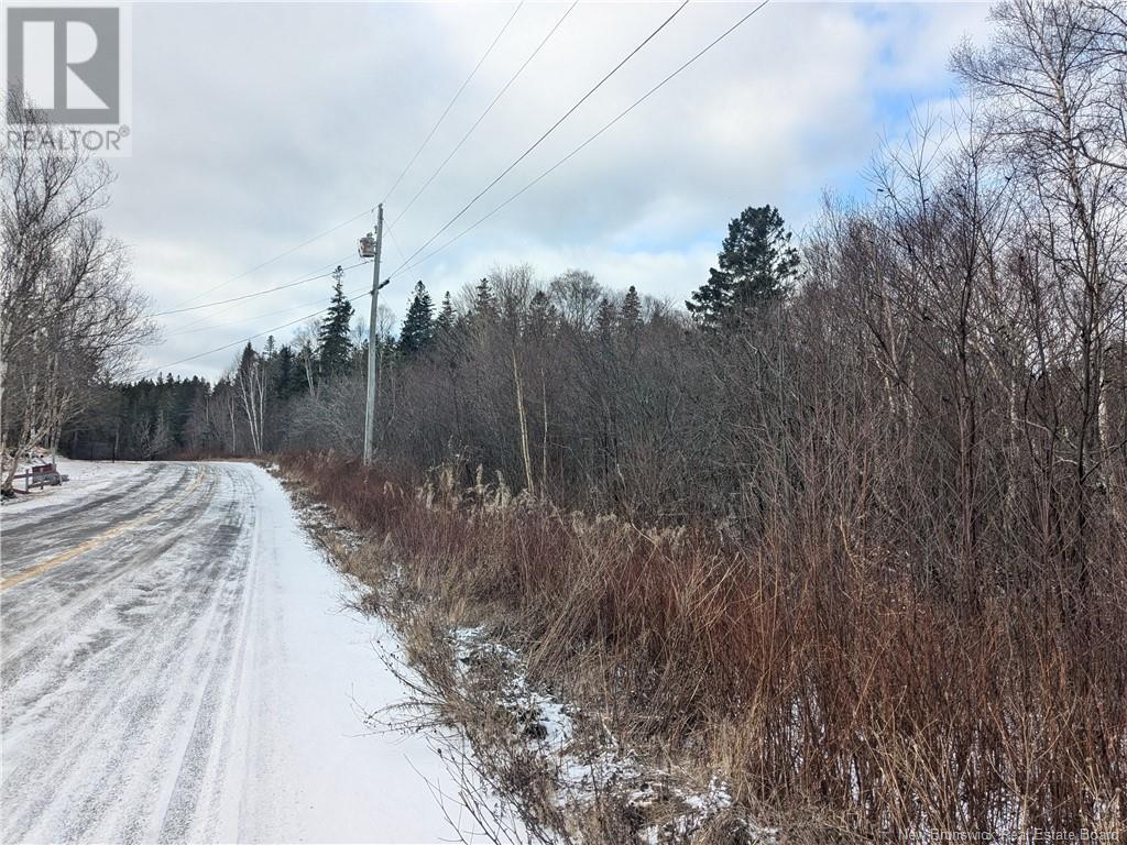 Lot 4 Lighthouse Road, Campobello Island, New Brunswick  E5E 1C1 - Photo 4 - NB111006