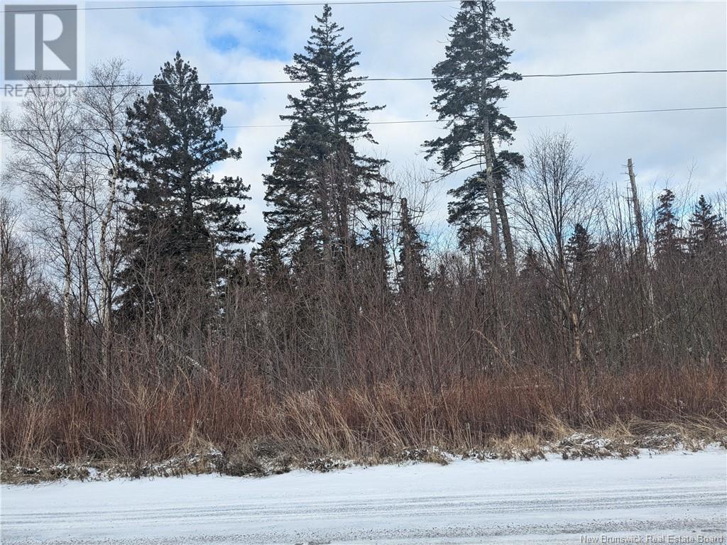 Lot 4 Lighthouse Road, Campobello Island, New Brunswick  E5E 1C1 - Photo 5 - NB111006