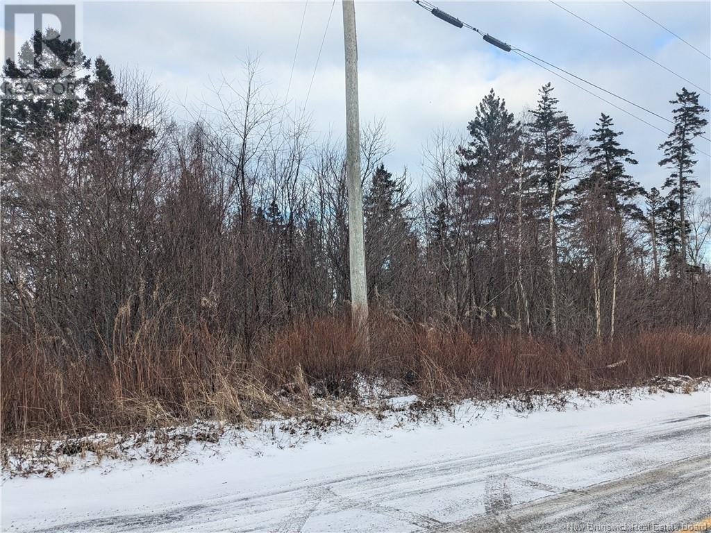 Lot 3 Lighthouse Road, Campobello Island, New Brunswick  E5E 1C1 - Photo 3 - NB111005