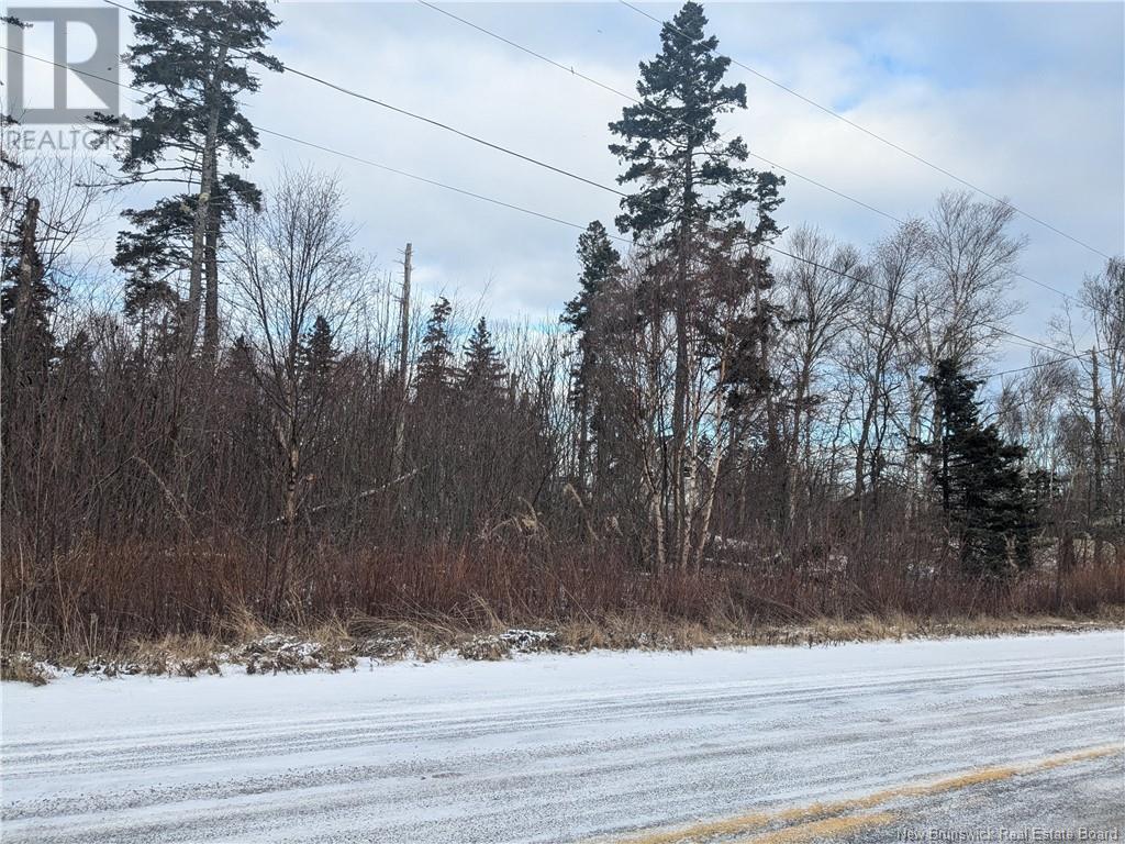 Lot 3 Lighthouse Road, Campobello Island, New Brunswick  E5E 1C1 - Photo 4 - NB111005