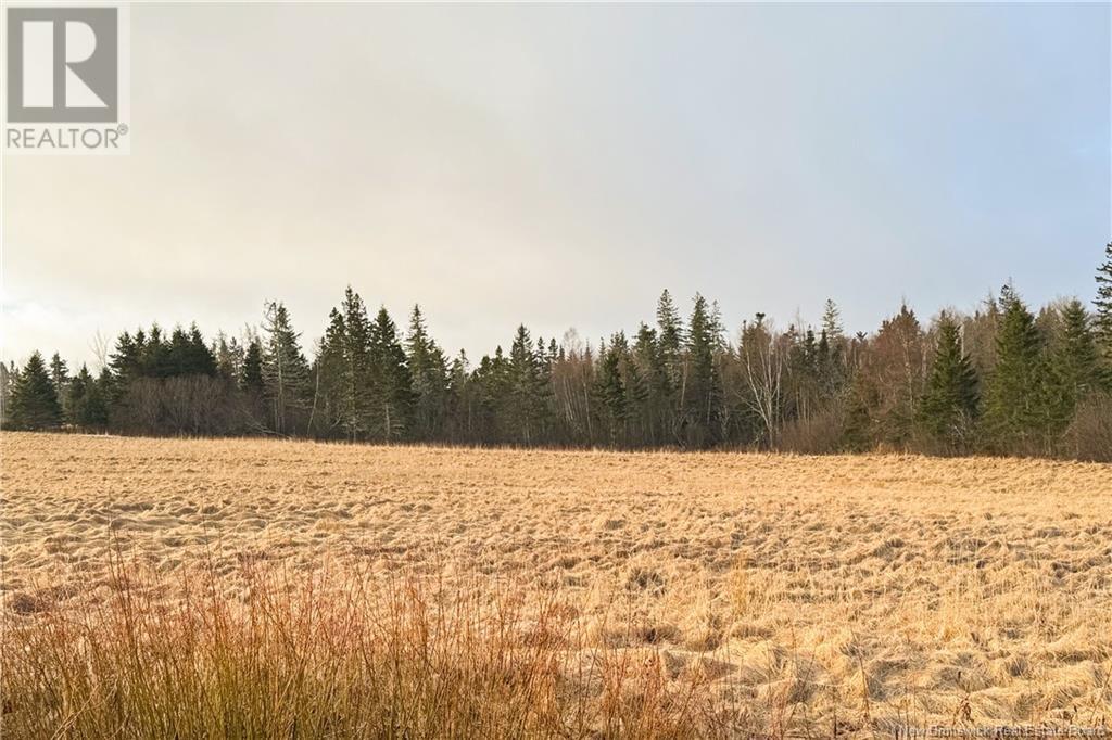 Lot 24-1 Fairfield Road, Sackville, New Brunswick  E4L 2X8 - Photo 5 - NB111033