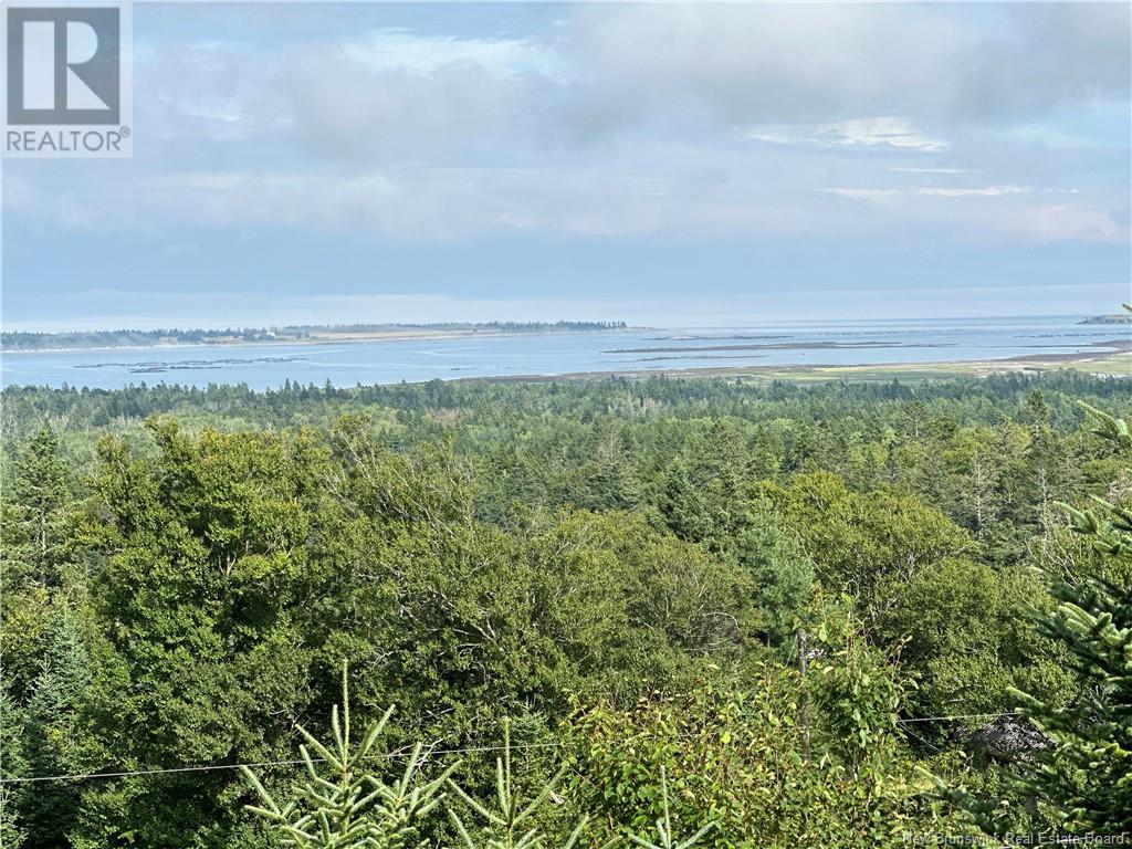 350 Dock Road, Grand Manan, New Brunswick  E5G 1C4 - Photo 32 - NB111045