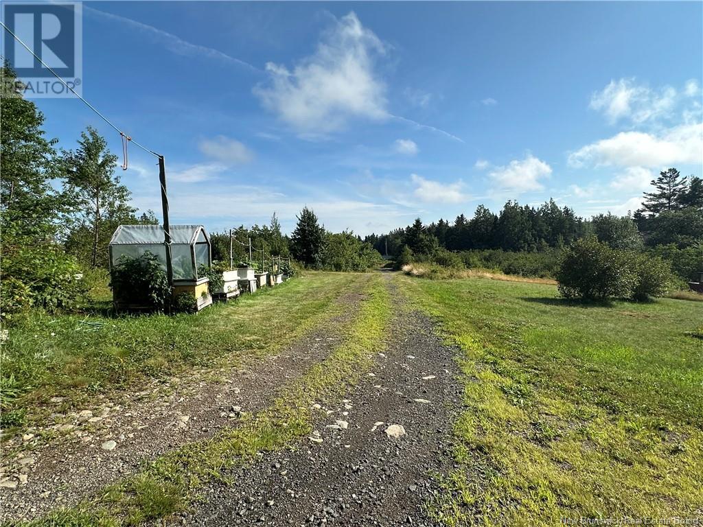 350 Dock Road, Grand Manan, New Brunswick  E5G 1C4 - Photo 40 - NB111045