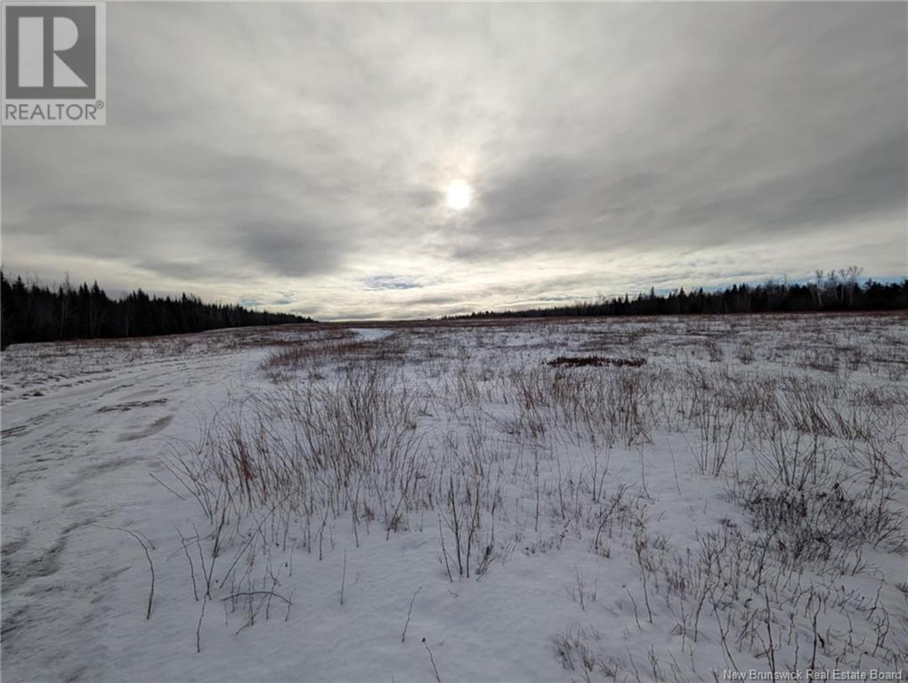 183.6 (+/-) Acres Route 160, Saint-Sauveur, New Brunswick  E8L 1N4 - Photo 15 - NB111091