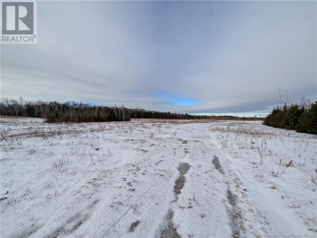 183.6 (+/-) Acres Route 160, Saint-Sauveur, New Brunswick  E8L 1N4 - Photo 16 - NB111091