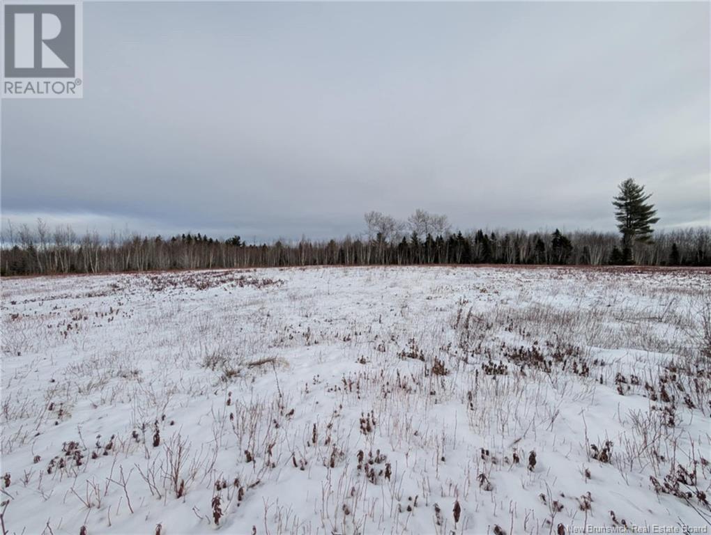 183.6 (+/-) Acres Route 160, Saint-Sauveur, New Brunswick  E8L 1N4 - Photo 17 - NB111091