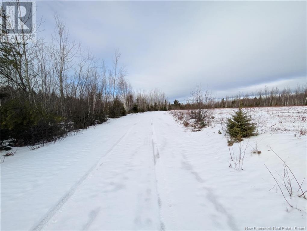 183.6 (+/-) Acres Route 160, Saint-Sauveur, New Brunswick  E8L 1N4 - Photo 18 - NB111091