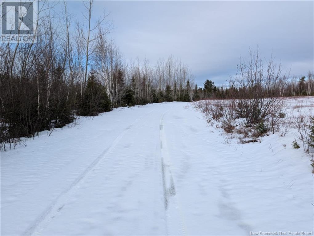 183.6 (+/-) Acres Route 160, Saint-Sauveur, New Brunswick  E8L 1N4 - Photo 19 - NB111091