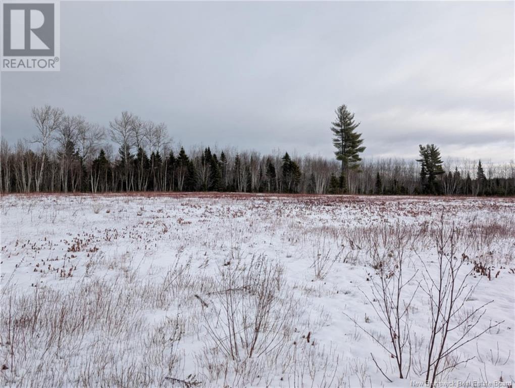 183.6 (+/-) Acres Route 160, Saint-Sauveur, New Brunswick  E8L 1N4 - Photo 20 - NB111091