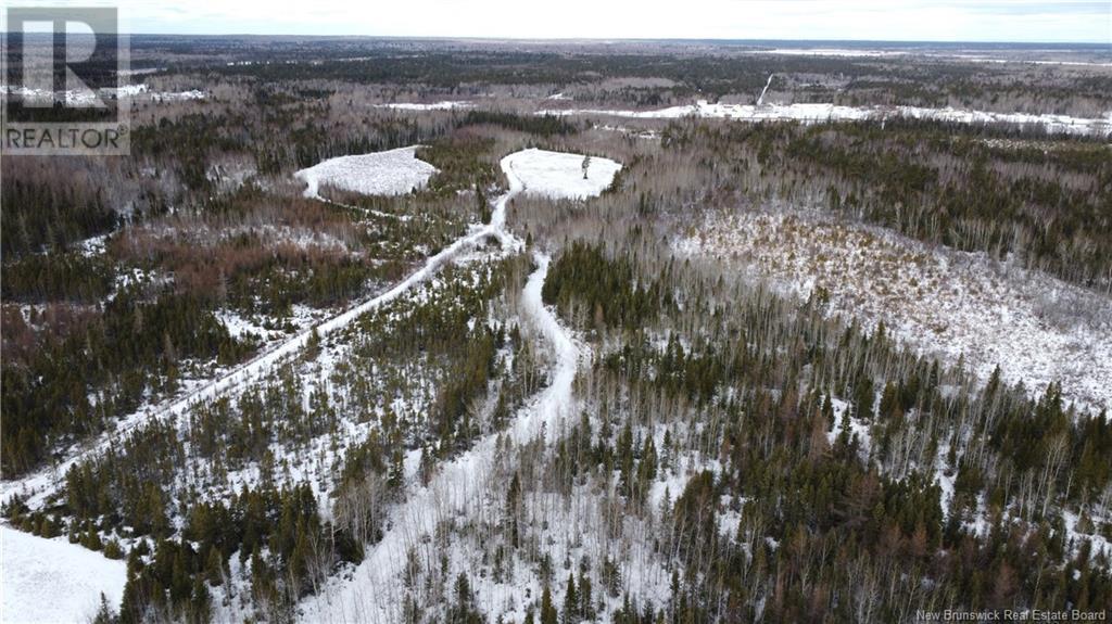 183.6 (+/-) Acres Route 160, Saint-Sauveur, New Brunswick  E8L 1N4 - Photo 7 - NB111091