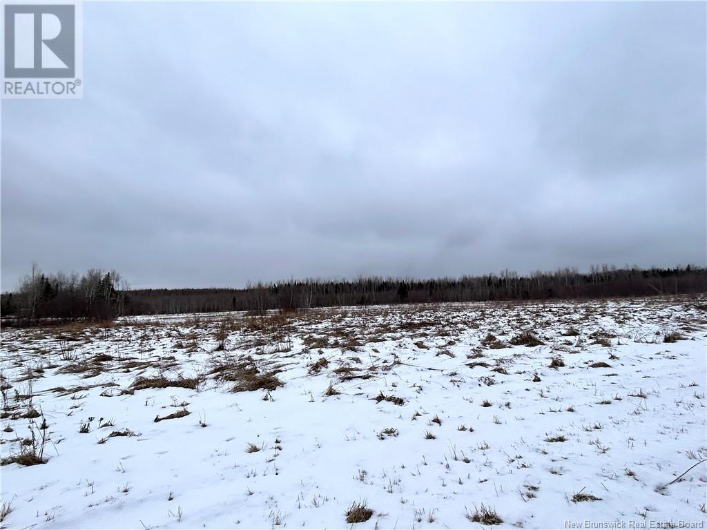 75 Acres Weldfield-Collette Road, Napan, New Brunswick  E1N 5H4 - Photo 3 - NB111131