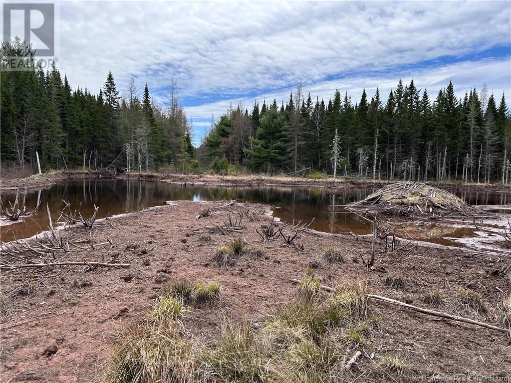 Coy Road, Ripples, New Brunswick