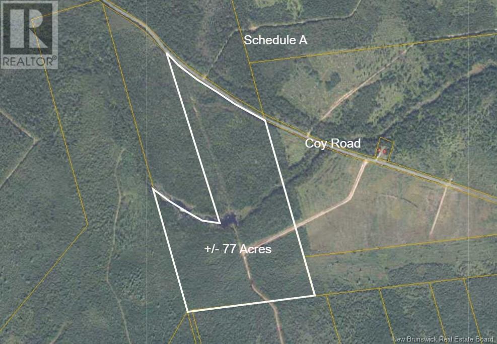 Coy Road, Ripples, New Brunswick  E4B 1T2 - Photo 6 - NB111218