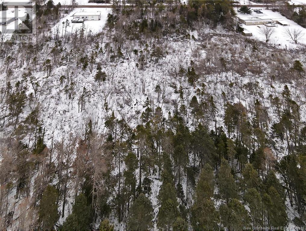 Lot 85-17 Melanson, Dieppe, New Brunswick  E1H 2C2 - Photo 6 - NB111224