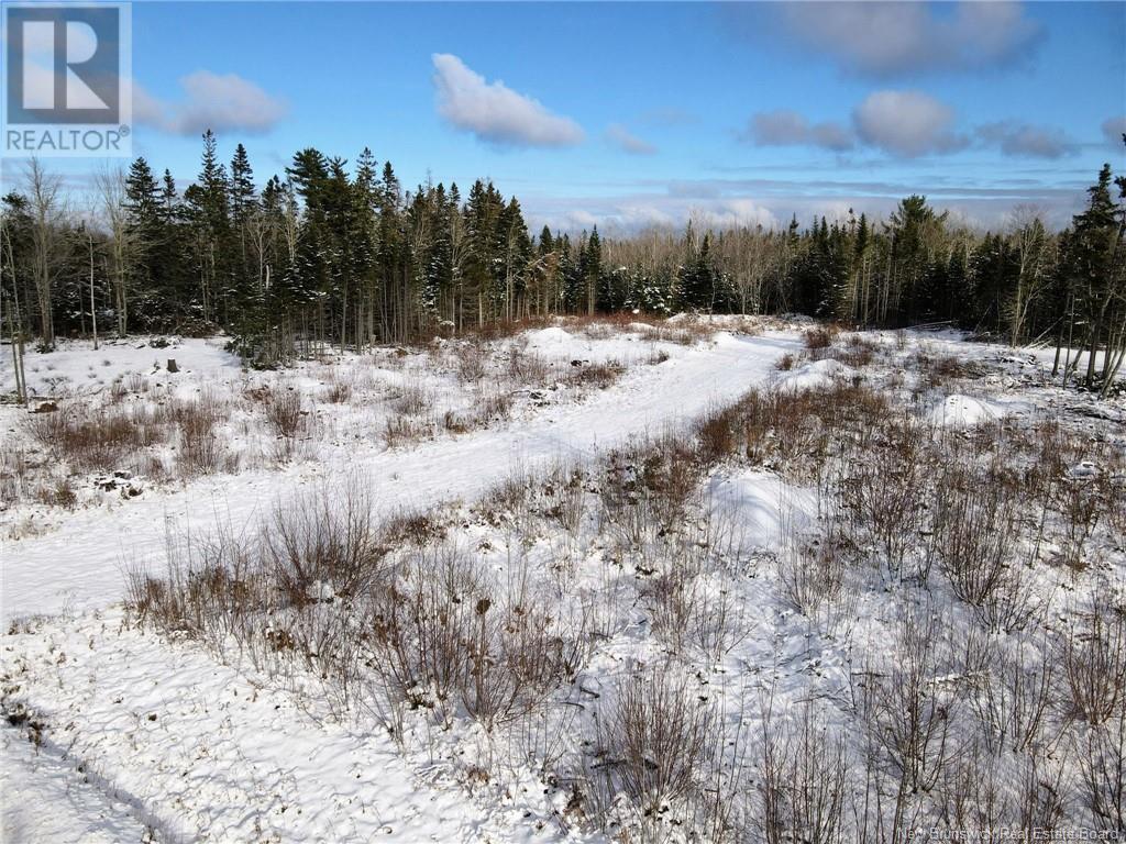 339 Saint-André Road, Cap-Pelé, New Brunswick  E4N 1Z4 - Photo 11 - NB111232