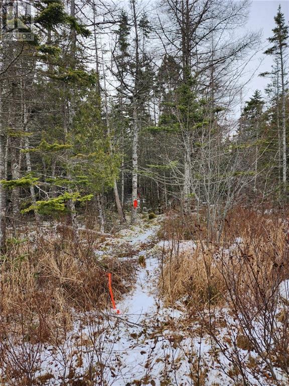 Lot A Route 790, Dipper Harbour, New Brunswick  E5J 1W6 - Photo 10 - NB111285