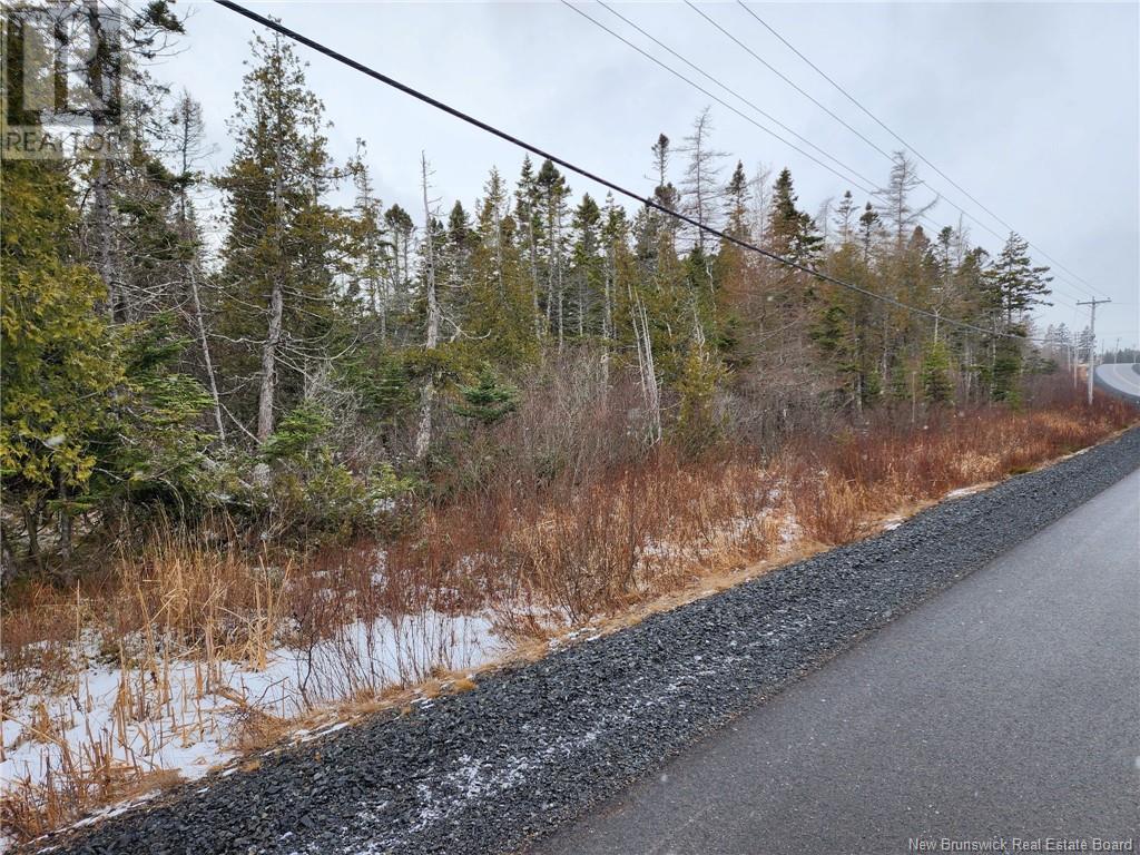 Lot A Route 790, Dipper Harbour, New Brunswick  E5J 1W6 - Photo 2 - NB111285