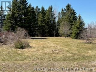 29 Route 322, North Tetagouche, New Brunswick  E2A 4Y6 - Photo 35 - NB111202