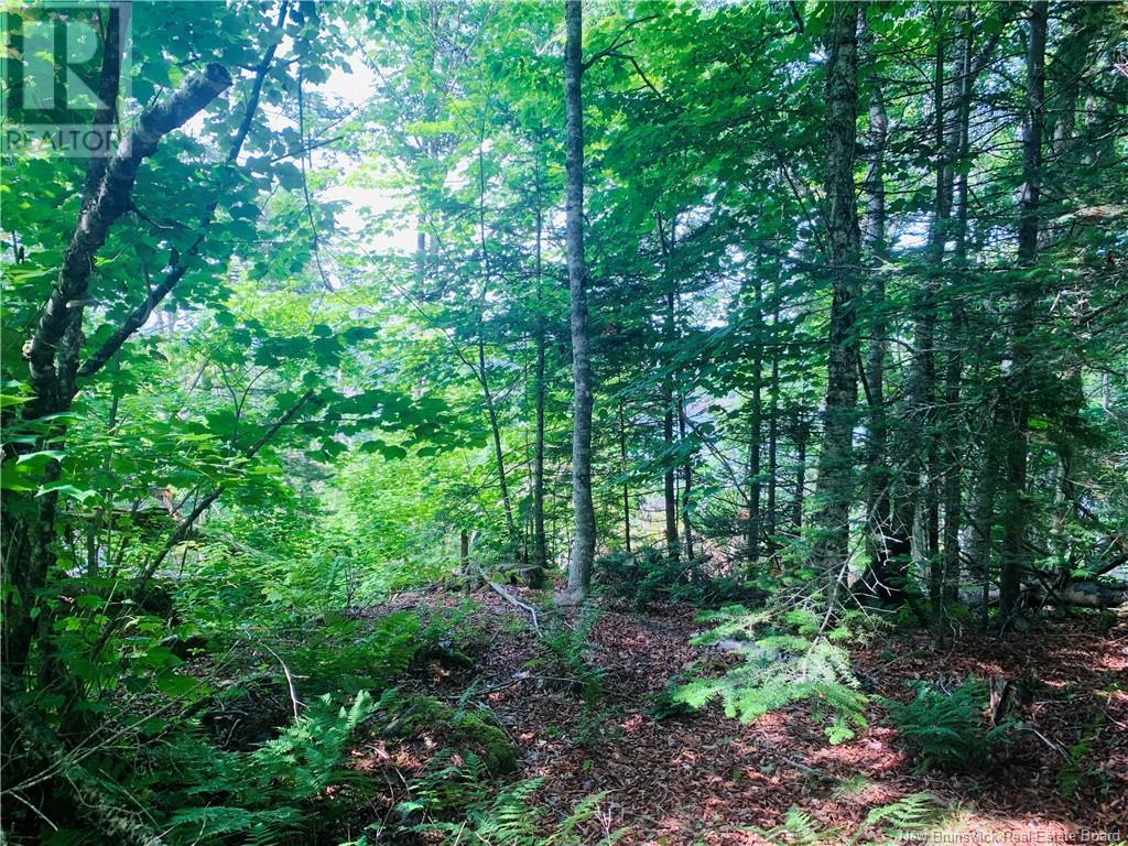 85-81 Bunker Hill Road, Wilsons Beach, New Brunswick  E5E 1Z4 - Photo 4 - NB111298