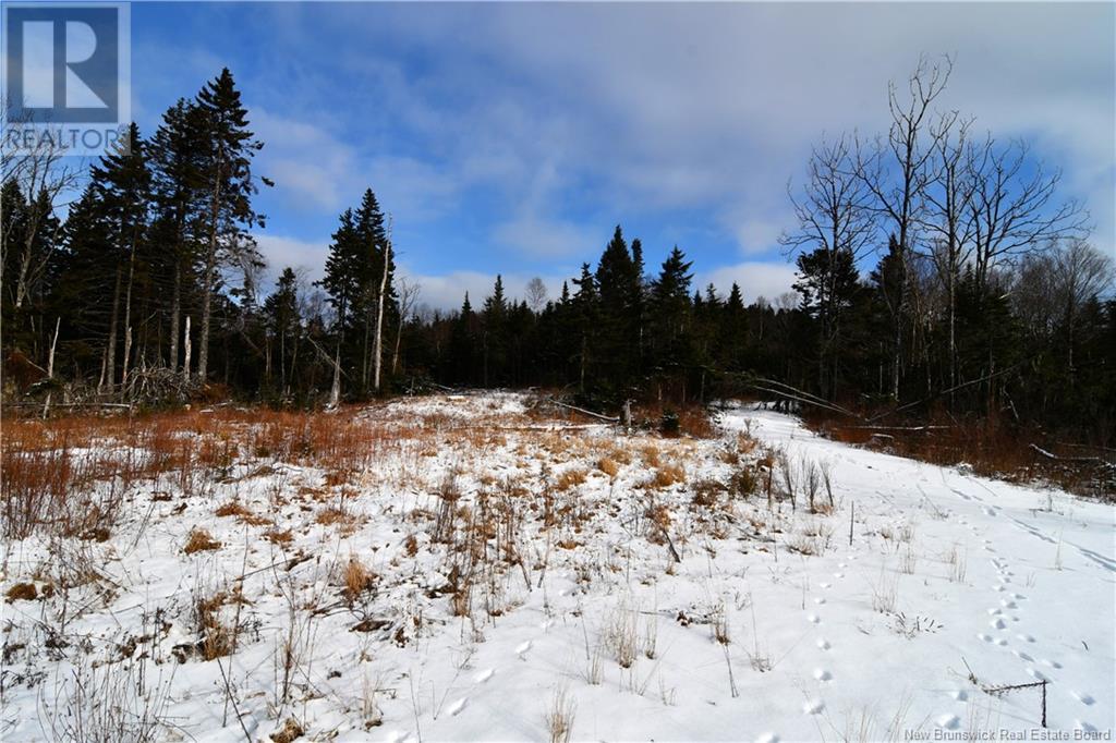 20 Owen Court, Wilsons Beach, New Brunswick  E5E 1A6 - Photo 2 - NB111302