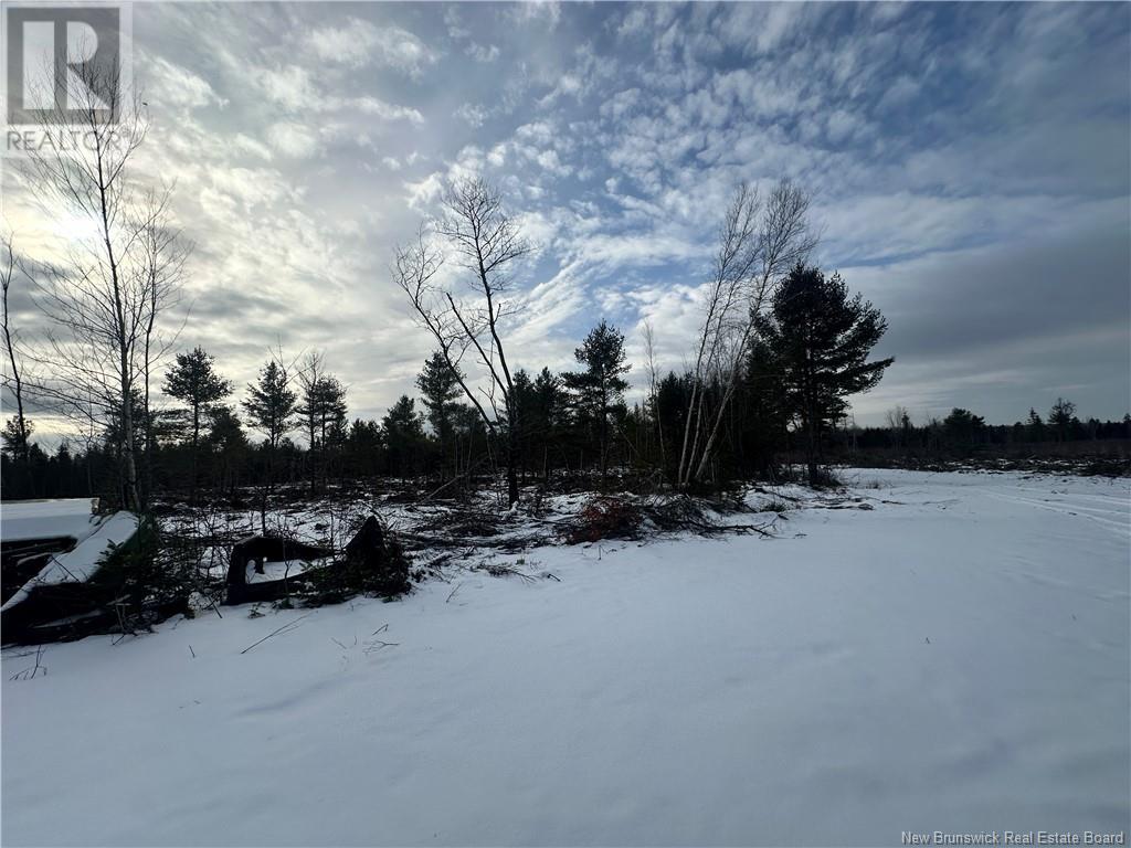 Lot Maclean Settlment, Saint-Paul, New Brunswick  E4T 3S1 - Photo 10 - NB111493