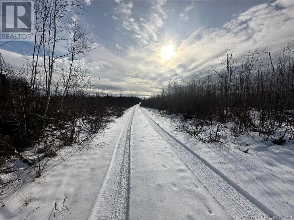 Lot Maclean Settlment, Saint-Paul, New Brunswick  E4T 3S1 - Photo 11 - NB111493