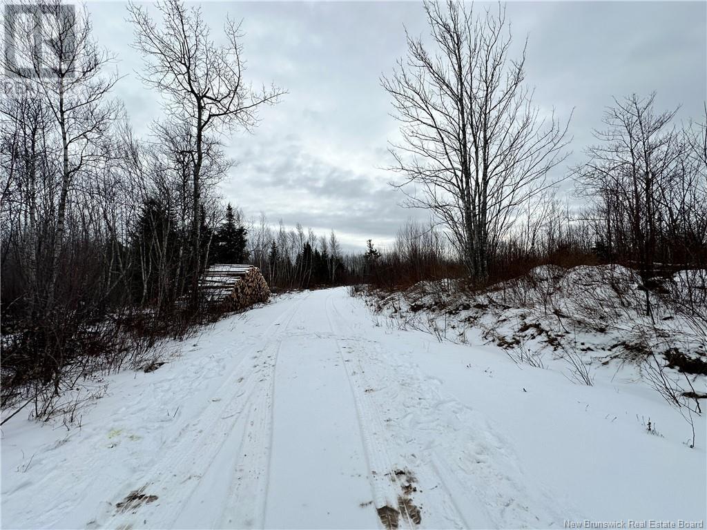 Lot Maclean Settlment, Saint-Paul, New Brunswick  E4T 3S1 - Photo 12 - NB111493