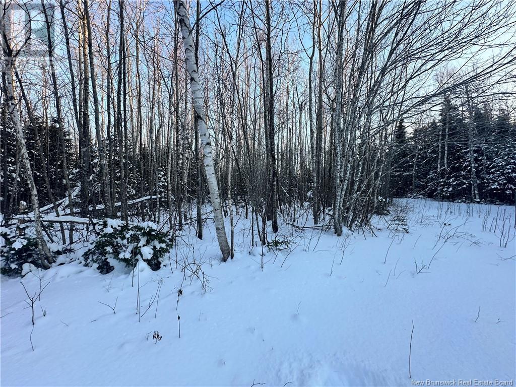 Lot Mclean Settlement, Saint-Paul, New Brunswick  E4T 3S1 - Photo 15 - NB111493