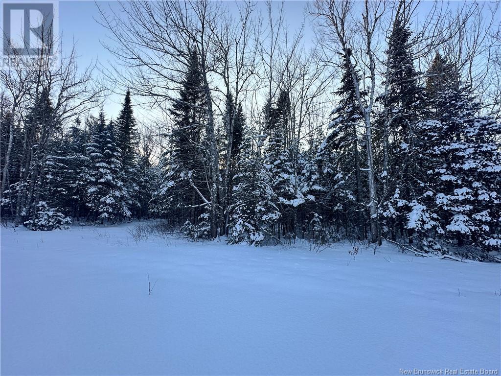 Lot Mclean Settlement, Saint-Paul, New Brunswick  E4T 3S1 - Photo 16 - NB111493