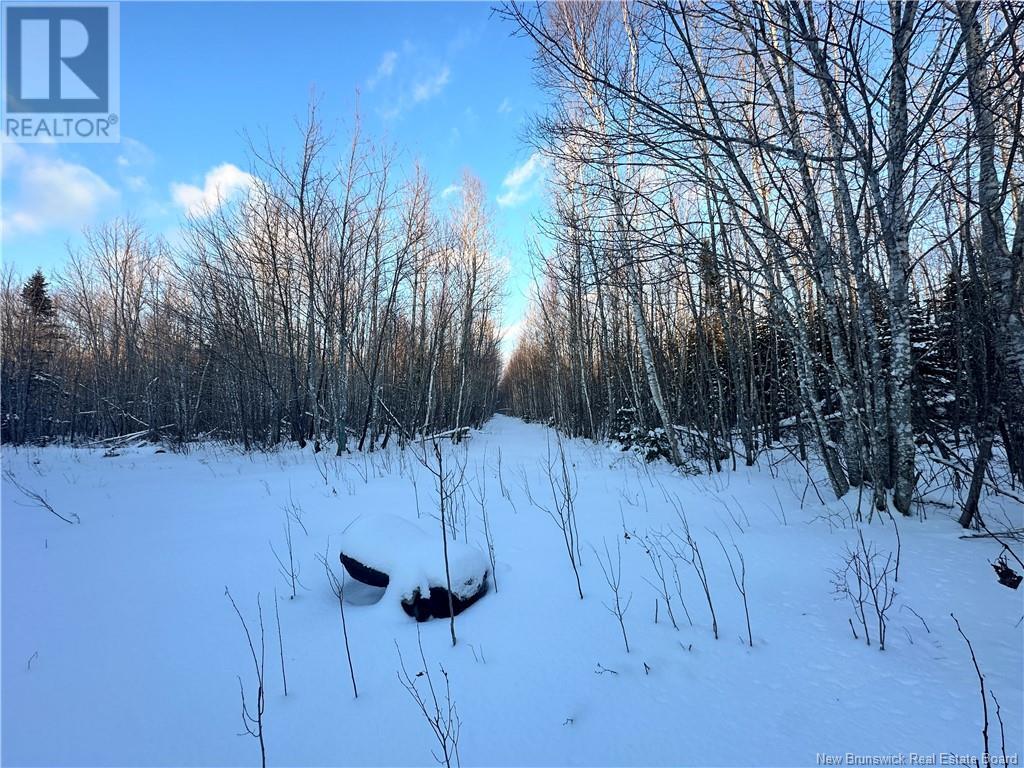 Lot Mclean Settlement, Saint-Paul, New Brunswick  E4T 3S1 - Photo 17 - NB111493