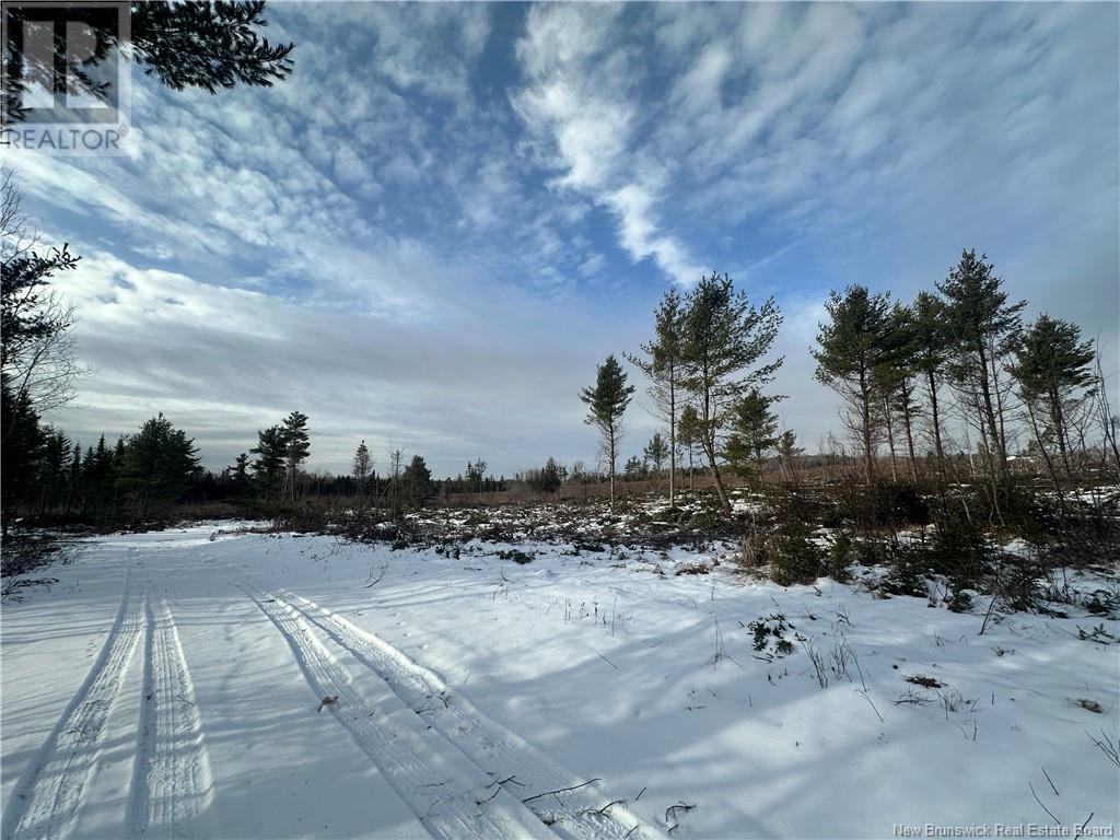 Lot Maclean Settlment, Saint-Paul, New Brunswick  E4T 3S1 - Photo 2 - NB111493