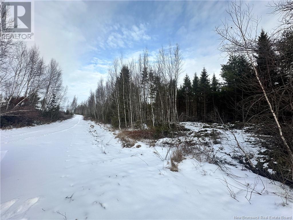 Lot Maclean Settlment, Saint-Paul, New Brunswick  E4T 3S1 - Photo 3 - NB111493