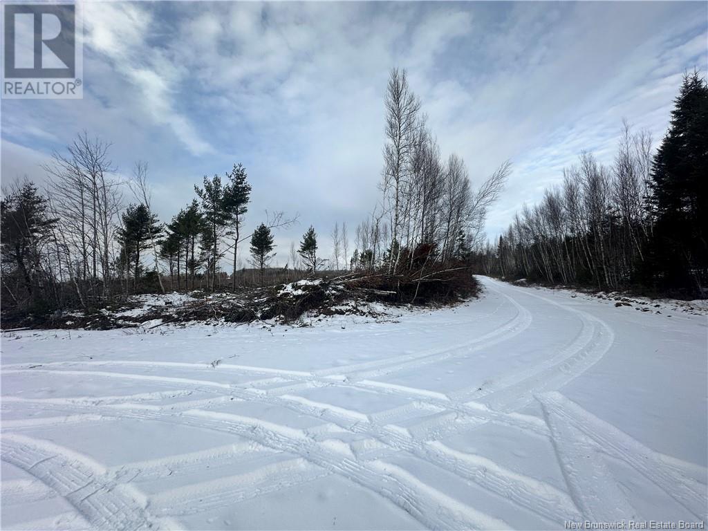 Lot Maclean Settlment, Saint-Paul, New Brunswick  E4T 3S1 - Photo 4 - NB111493