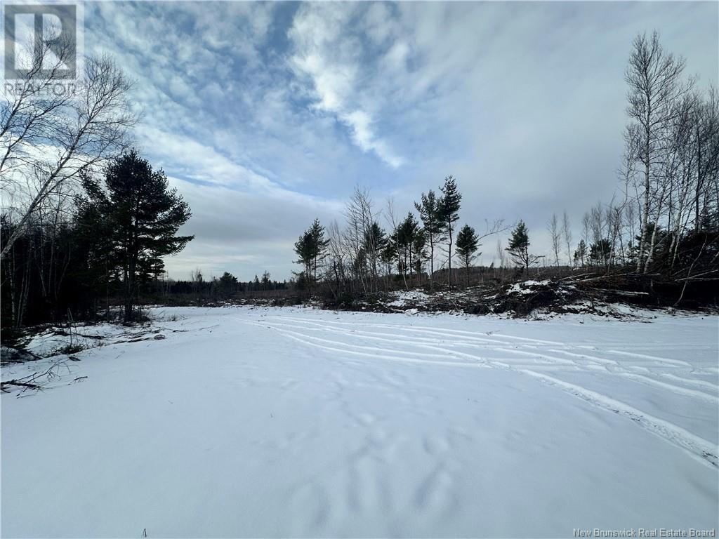 Lot Maclean Settlment, Saint-Paul, New Brunswick  E4T 3S1 - Photo 5 - NB111493