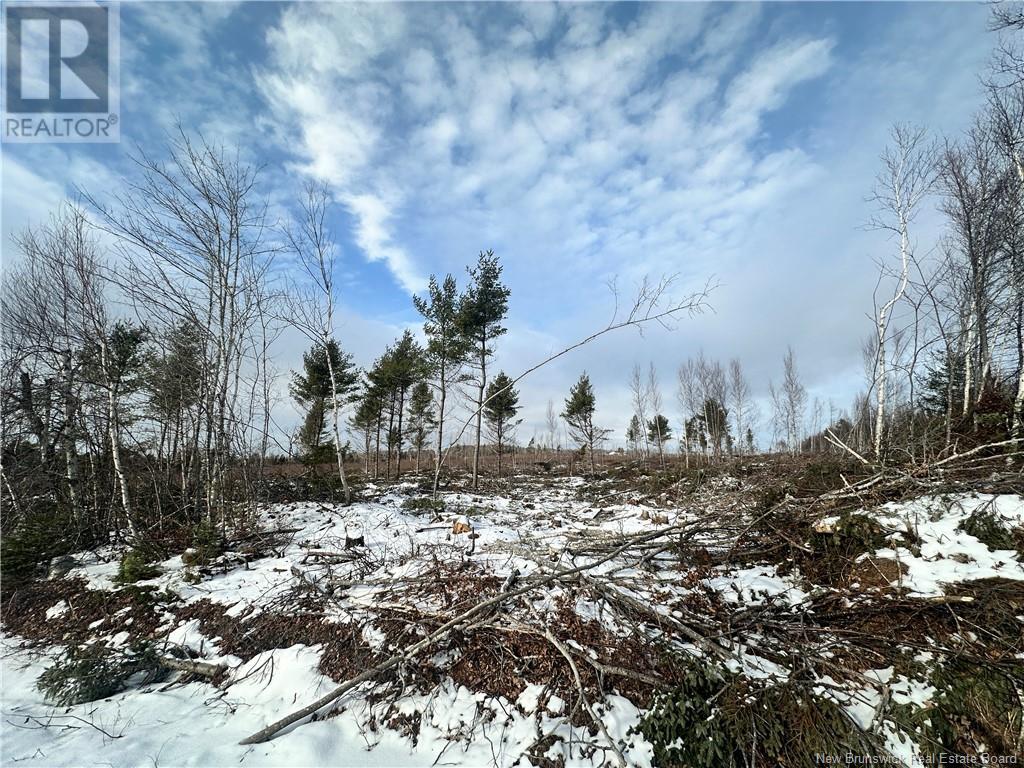 Lot Maclean Settlment, Saint-Paul, New Brunswick  E4T 3S1 - Photo 6 - NB111493