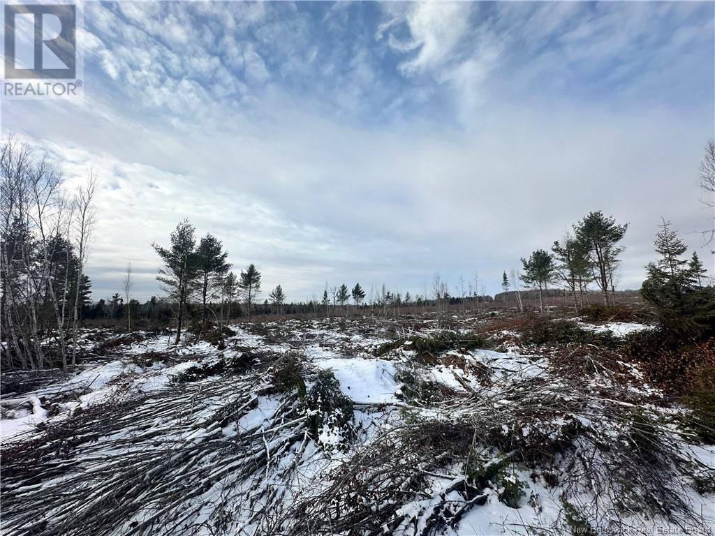 Lot Maclean Settlment, Saint-Paul, New Brunswick  E4T 3S1 - Photo 7 - NB111493