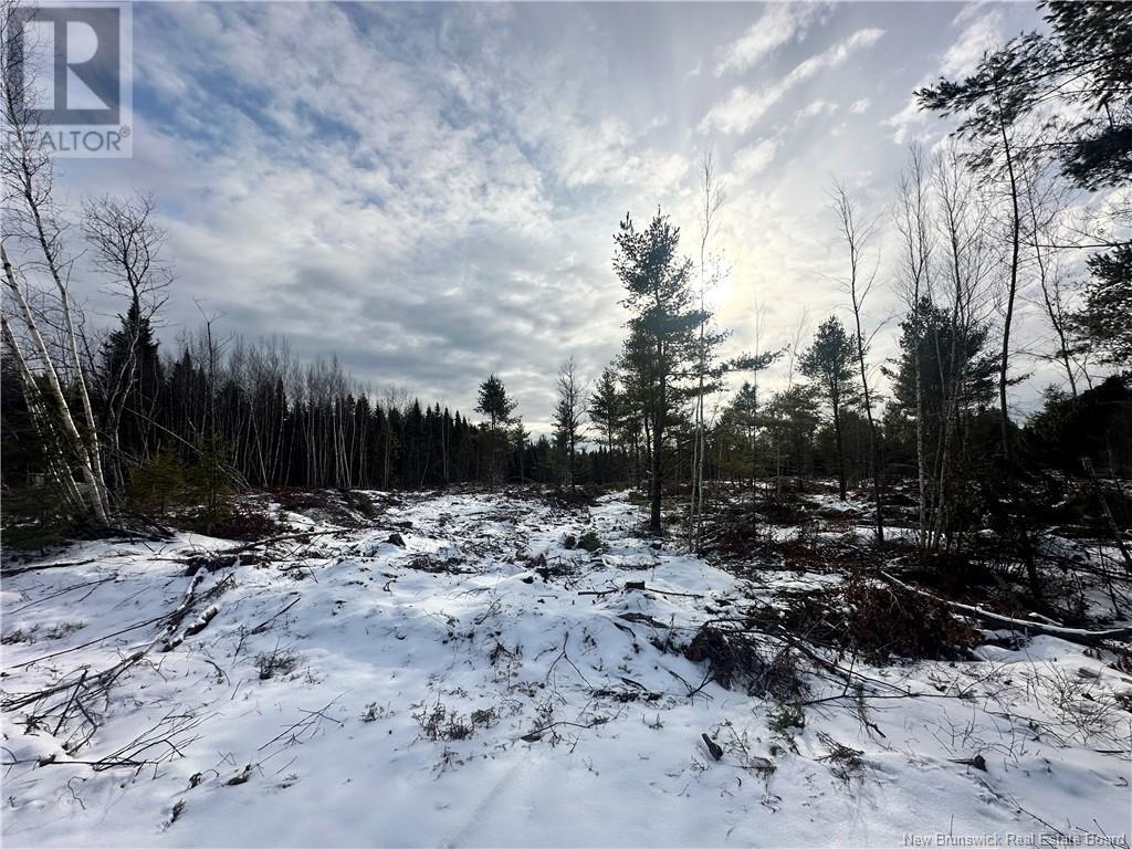 Lot Maclean Settlment, Saint-Paul, New Brunswick  E4T 3S1 - Photo 8 - NB111493