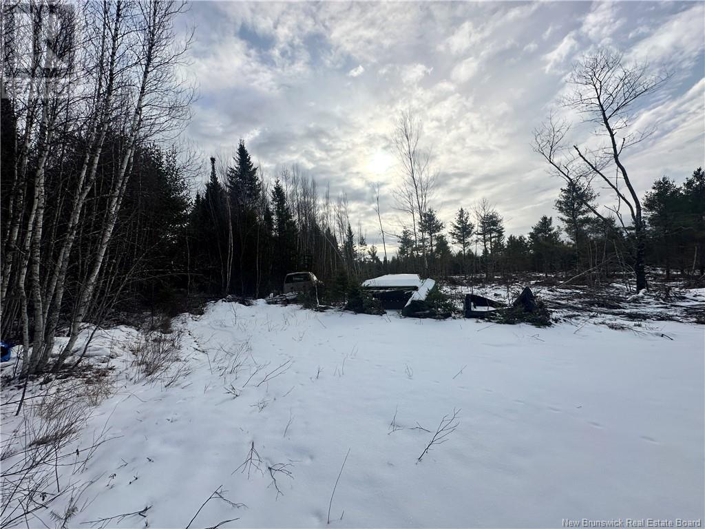 Lot Maclean Settlment, Saint-Paul, New Brunswick  E4T 3S1 - Photo 9 - NB111493