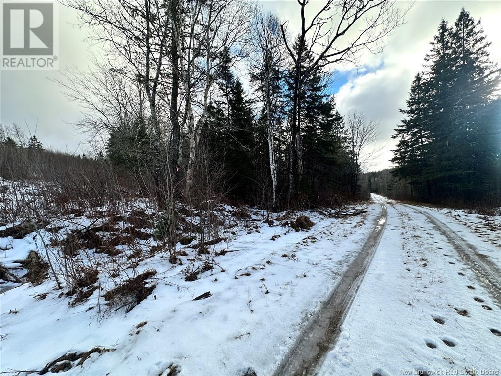 Lot O'brien, Head Of Millstream, New Brunswick  E4G 1T3 - Photo 2 - NB111497