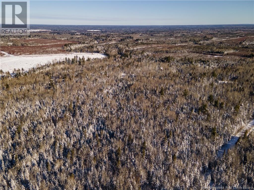 Lot Thorne Brook Road, Havelock, New Brunswick  E4Z 0C5 - Photo 31 - NB111625